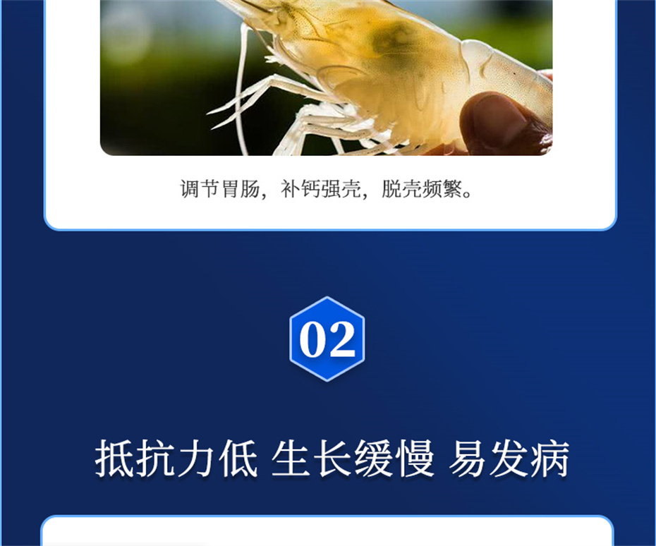 全网担保网动保水产饲料添加剂肝胆宝水产产品介绍 全网担保网动保水产饲料添加剂肝胆宝水产产品介绍