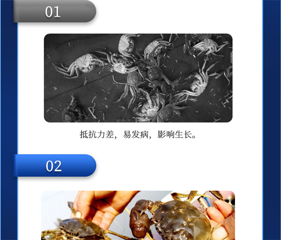 全网担保网动保水产饲料添加剂肝胆宝水产产品介绍 全网担保网动保水产饲料添加剂肝胆宝水产产品介绍