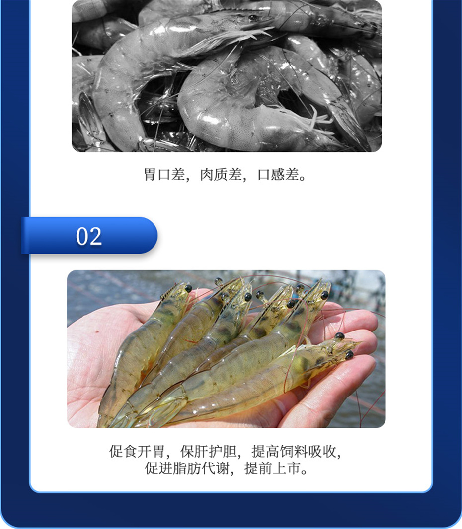 全网担保网动保水产饲料添加剂肝胆宝水产产品介绍 全网担保网动保水产饲料添加剂肝胆宝水产产品介绍