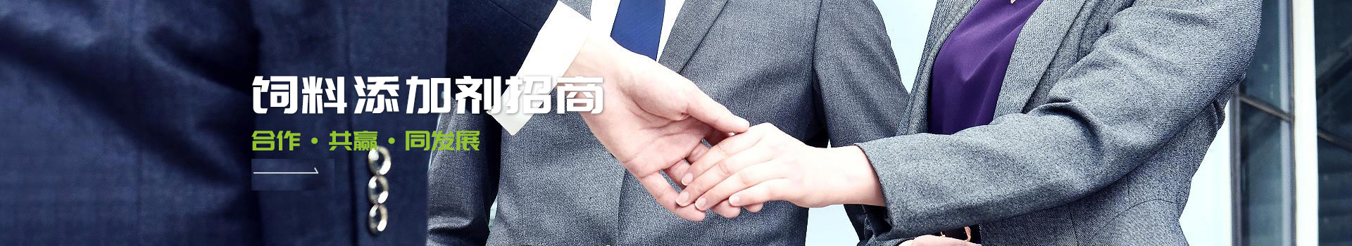 全网担保网-合作模式