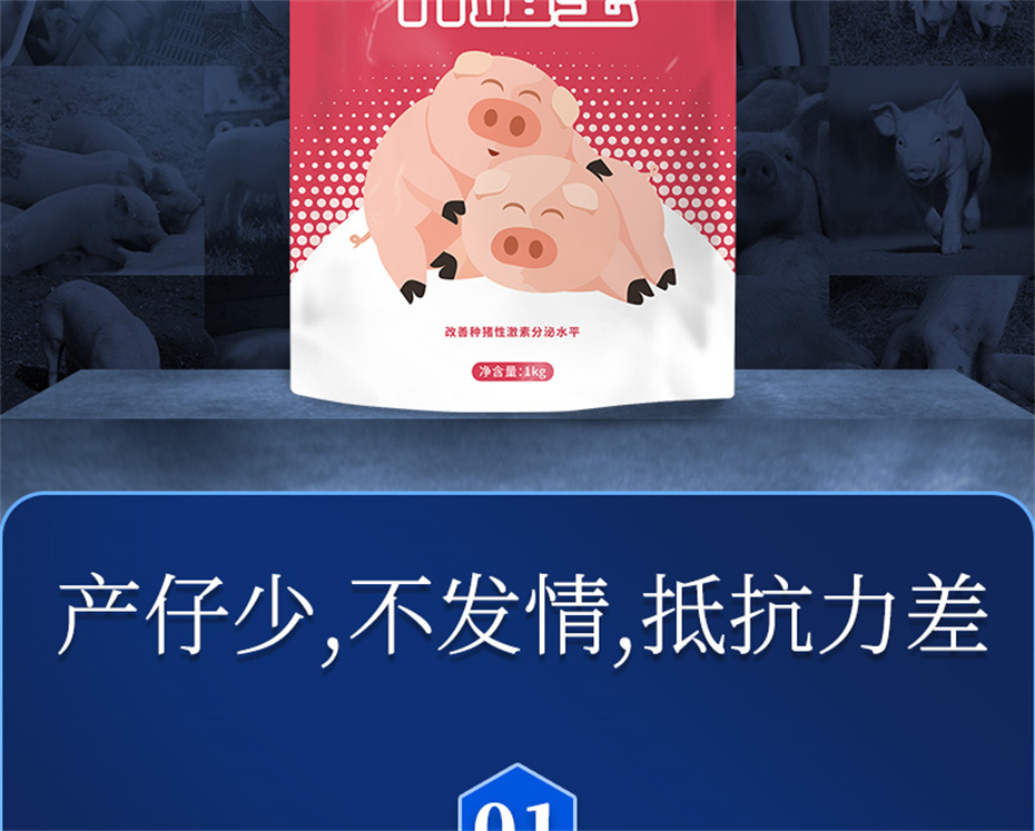 全网担保网动保猪饲料添加剂升殖宝产品介绍 全网担保网动保猪饲料添加剂升殖宝产品介绍
