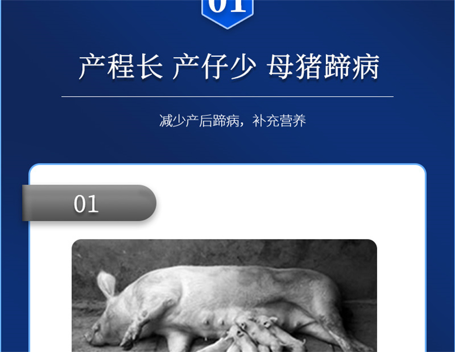 全网担保网动保猪饲料添加剂升殖宝产品介绍 全网担保网动保猪饲料添加剂升殖宝产品介绍
