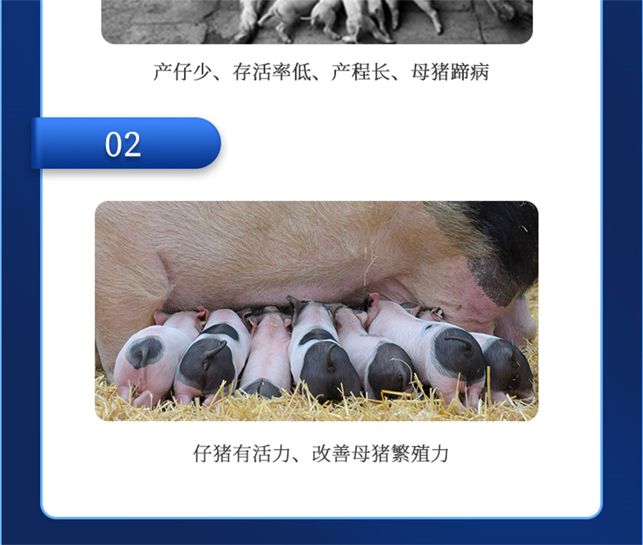 全网担保网动保猪饲料添加剂升殖宝产品介绍 全网担保网动保猪饲料添加剂升殖宝产品介绍