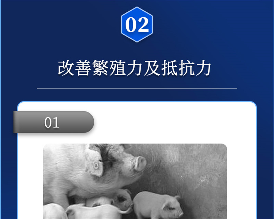 全网担保网动保猪饲料添加剂升殖宝产品介绍 全网担保网动保猪饲料添加剂升殖宝产品介绍