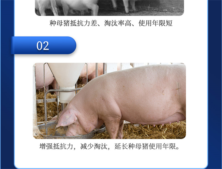 全网担保网动保猪饲料添加剂升殖宝产品介绍 全网担保网动保猪饲料添加剂升殖宝产品介绍