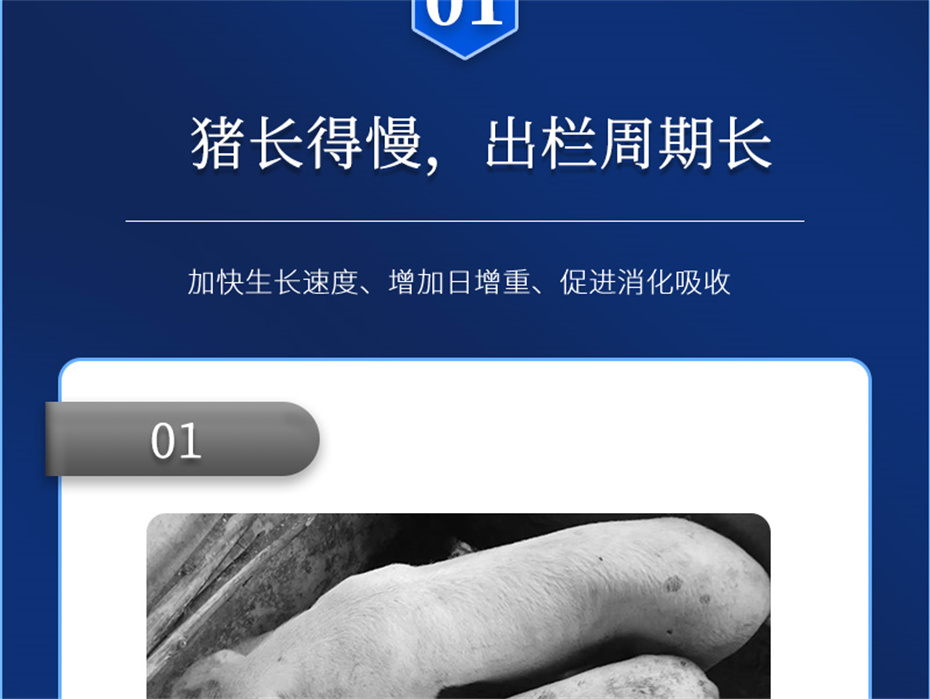 全网担保网动保猪饲料添加剂肥猪王产品介绍