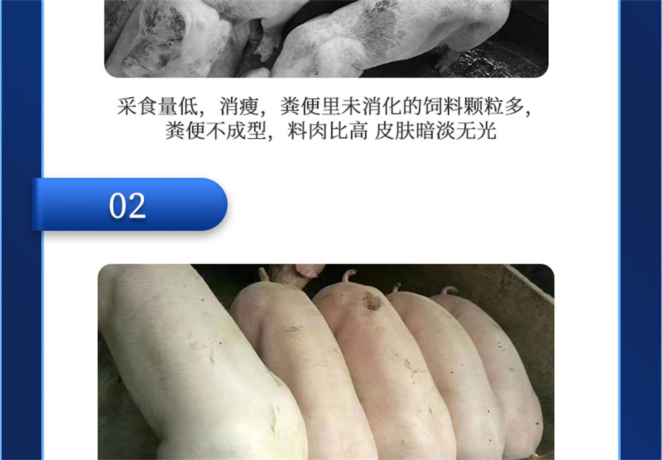 全网担保网动保猪饲料添加剂肥猪王产品介绍