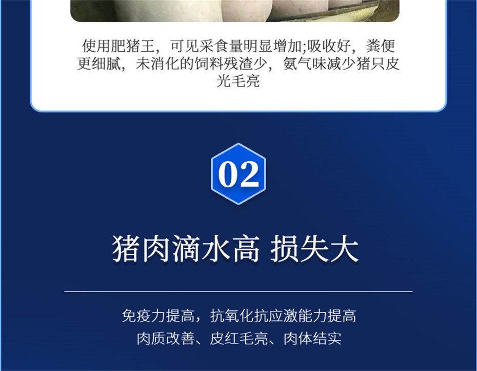 全网担保网动保猪饲料添加剂肥猪王产品介绍
