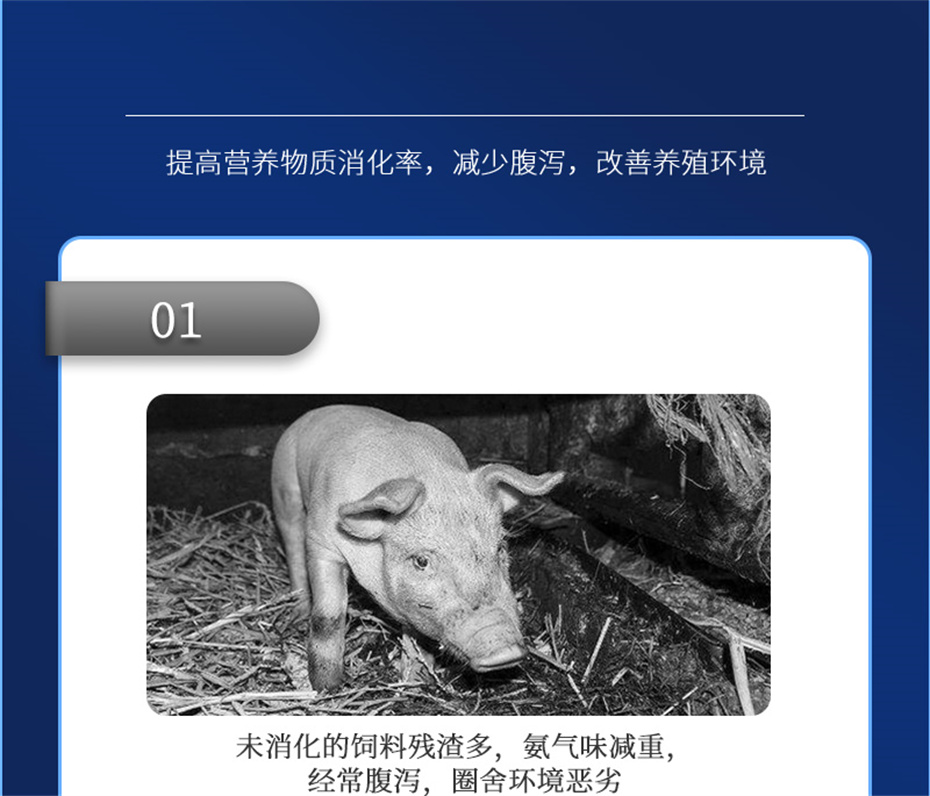 全网担保网动保猪饲料添加剂肥猪王产品介绍
