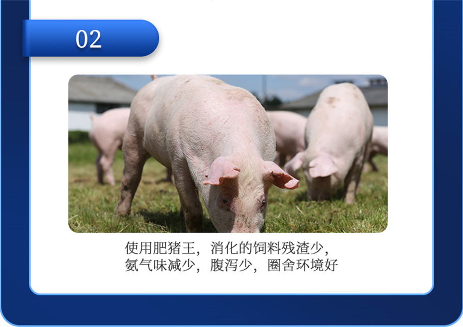 全网担保网动保猪饲料添加剂肥猪王产品介绍
