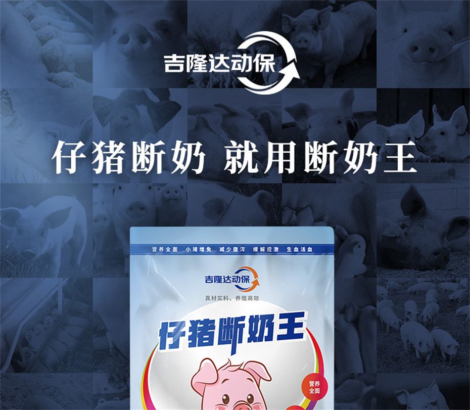 全网担保网动保猪饲料添加剂仔猪断奶王产品介绍 全网担保网动保猪饲料添加剂仔猪断奶王产品介绍