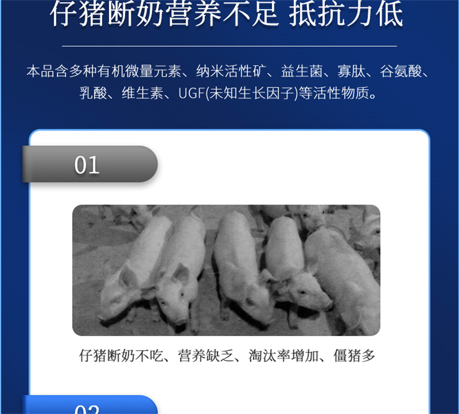 全网担保网动保猪饲料添加剂仔猪断奶王产品介绍 全网担保网动保猪饲料添加剂仔猪断奶王产品介绍