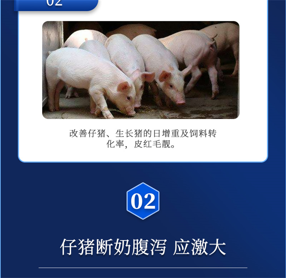 全网担保网动保猪饲料添加剂仔猪断奶王产品介绍 全网担保网动保猪饲料添加剂仔猪断奶王产品介绍