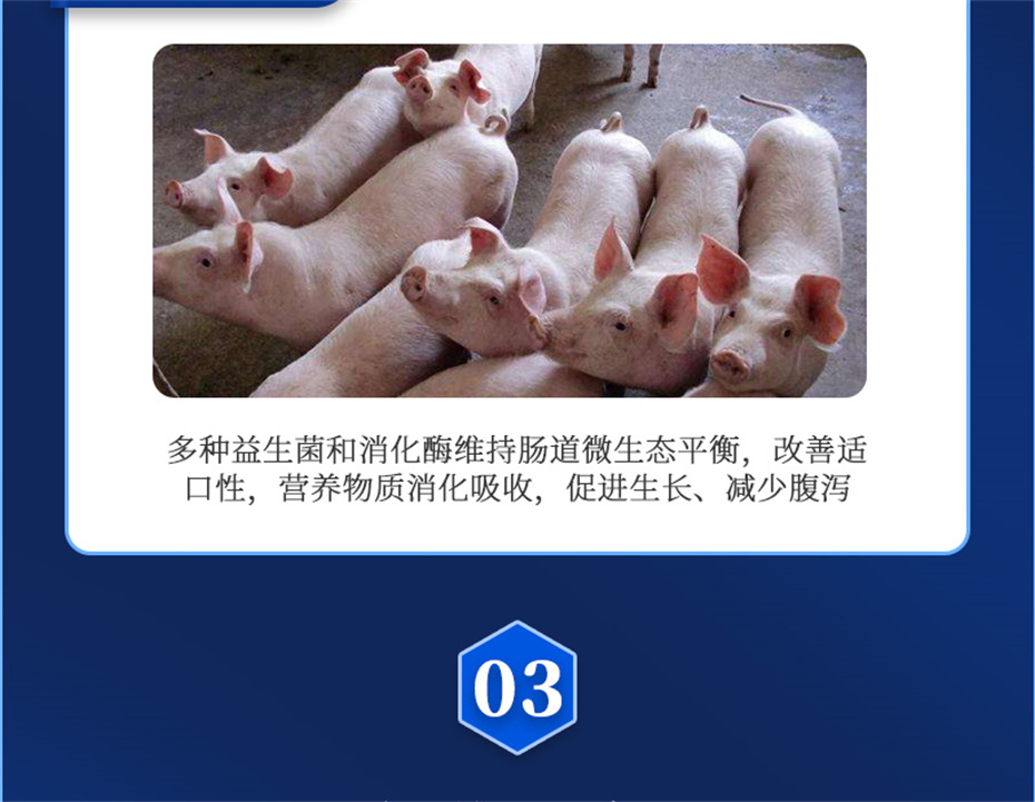 全网担保网动保猪饲料添加剂仔猪断奶王产品介绍 全网担保网动保猪饲料添加剂仔猪断奶王产品介绍