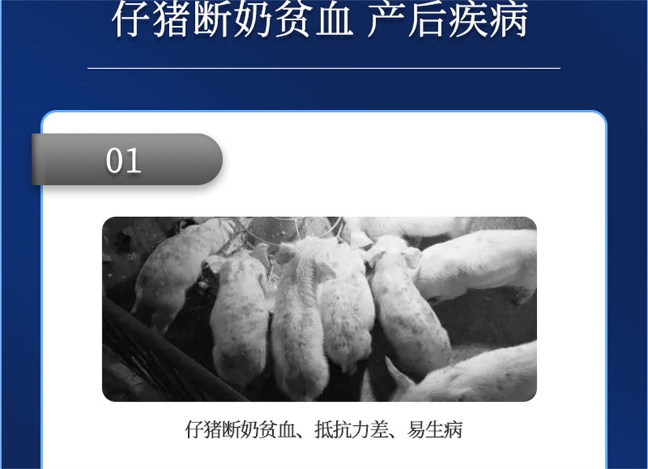 全网担保网动保猪饲料添加剂仔猪断奶王产品介绍 全网担保网动保猪饲料添加剂仔猪断奶王产品介绍