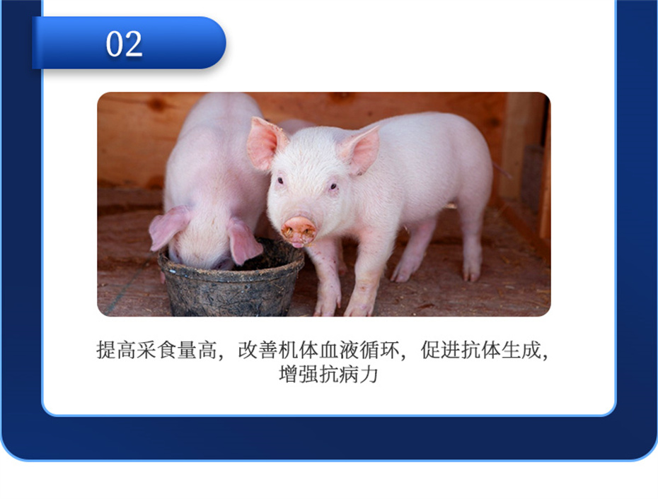全网担保网动保猪饲料添加剂仔猪断奶王产品介绍 全网担保网动保猪饲料添加剂仔猪断奶王产品介绍