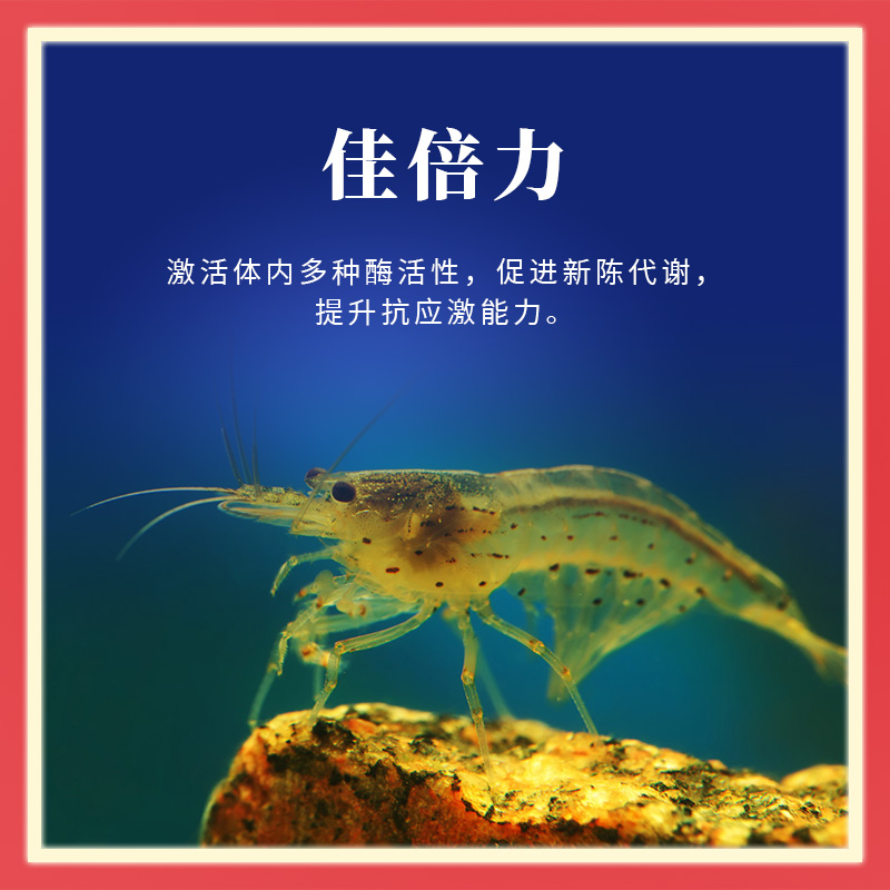 佳倍力 佳倍力