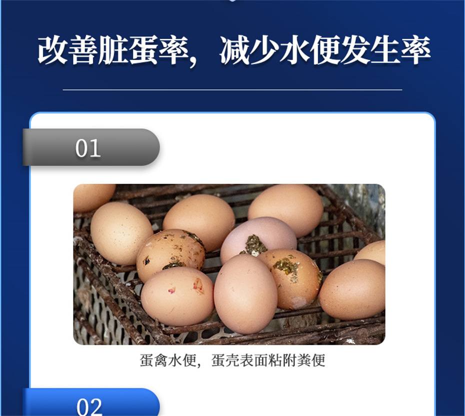全网担保网动保禽饲料添加剂强壳宝产品介绍 全网担保网动保禽饲料添加剂强壳宝产品介绍