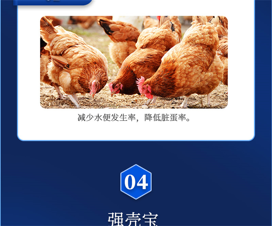 全网担保网动保禽饲料添加剂强壳宝产品介绍 全网担保网动保禽饲料添加剂强壳宝产品介绍