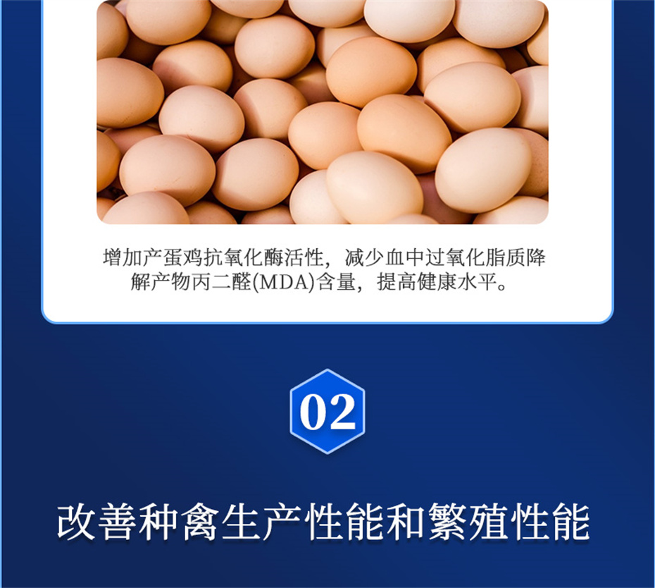 全网担保网动保禽饲料添加剂健立血禽产品介绍 全网担保网动保禽饲料添加剂健立血禽产品介绍