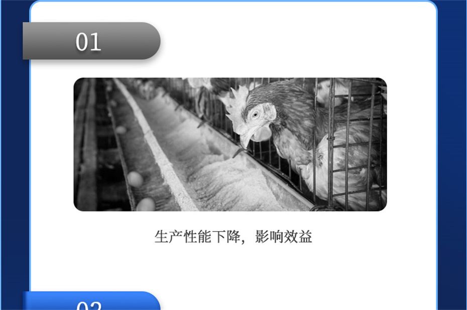 全网担保网动保禽饲料添加剂健立血禽产品介绍 全网担保网动保禽饲料添加剂健立血禽产品介绍