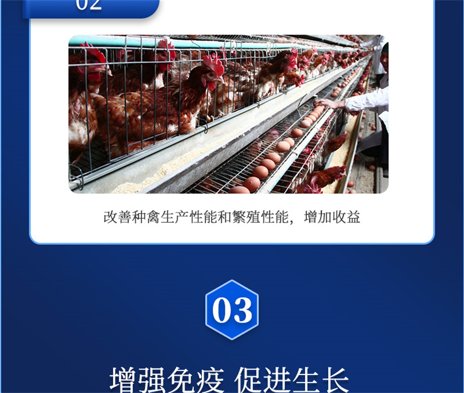 全网担保网动保禽饲料添加剂健立血禽产品介绍 全网担保网动保禽饲料添加剂健立血禽产品介绍