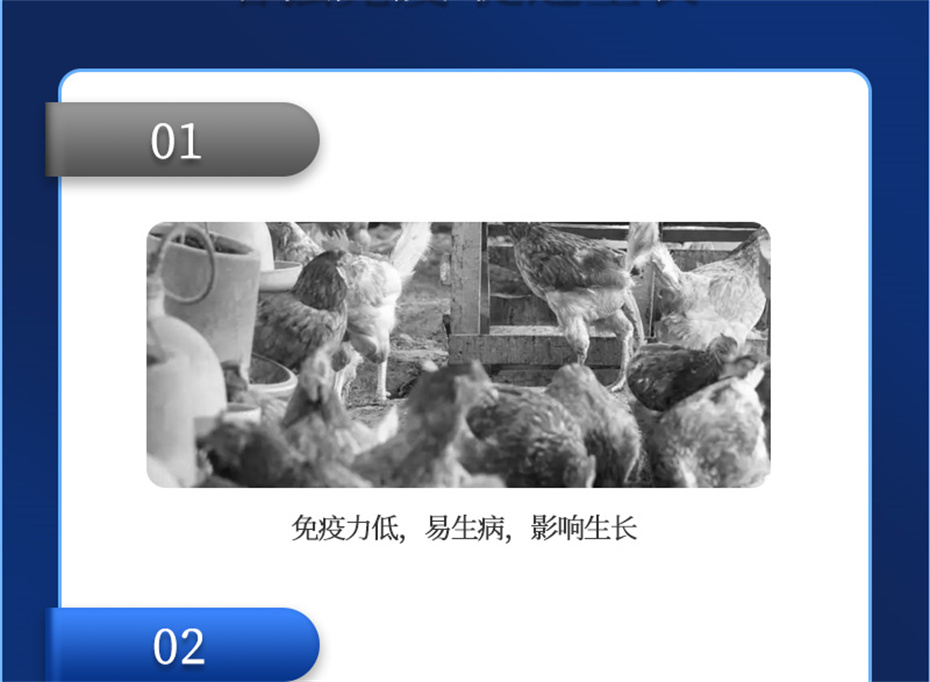 全网担保网动保禽饲料添加剂健立血禽产品介绍 全网担保网动保禽饲料添加剂健立血禽产品介绍