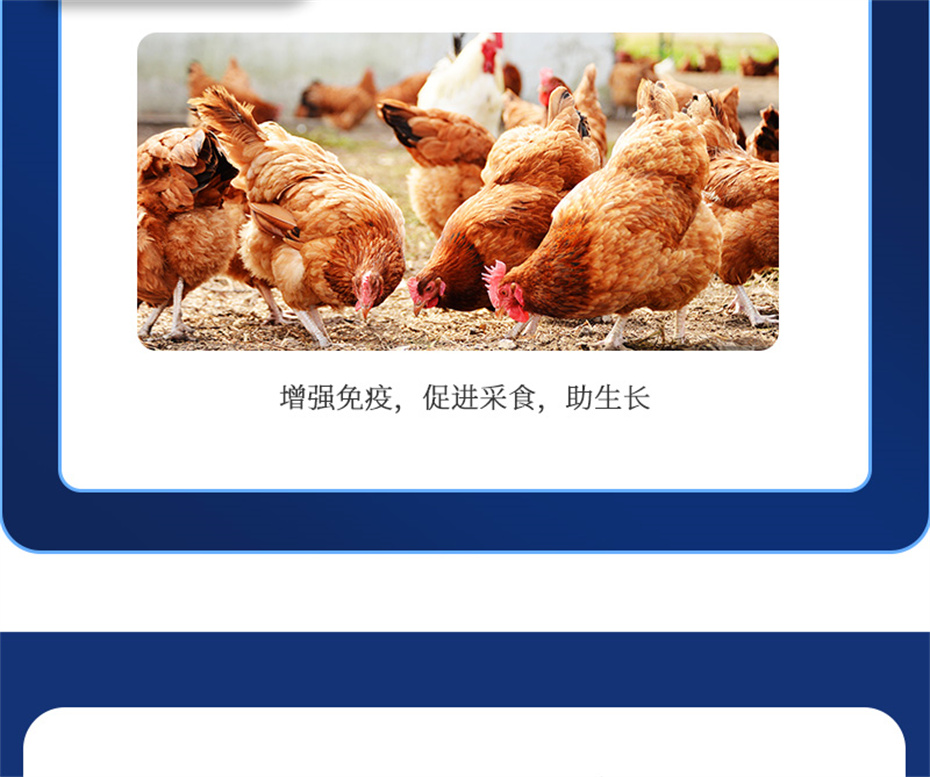 全网担保网动保禽饲料添加剂健立血禽产品介绍 全网担保网动保禽饲料添加剂健立血禽产品介绍
