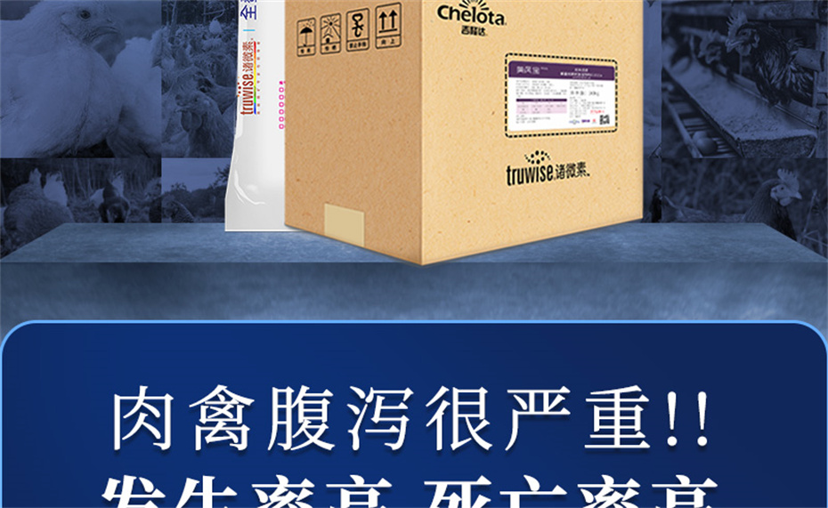 全网担保网动保禽饲料添加剂美凤宝产品介绍 全网担保网动保禽饲料添加剂美凤宝产品介绍