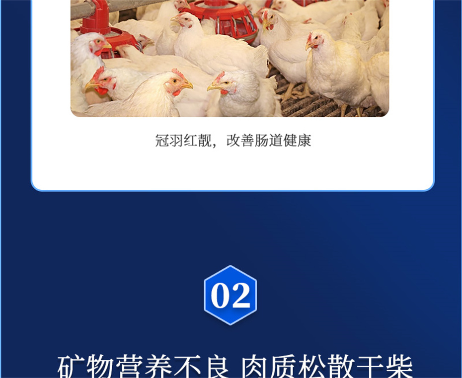 全网担保网动保禽饲料添加剂美凤宝产品介绍 全网担保网动保禽饲料添加剂美凤宝产品介绍