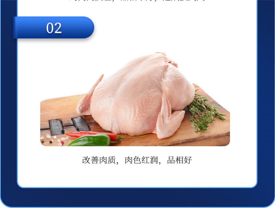 全网担保网动保禽饲料添加剂美凤宝产品介绍 全网担保网动保禽饲料添加剂美凤宝产品介绍