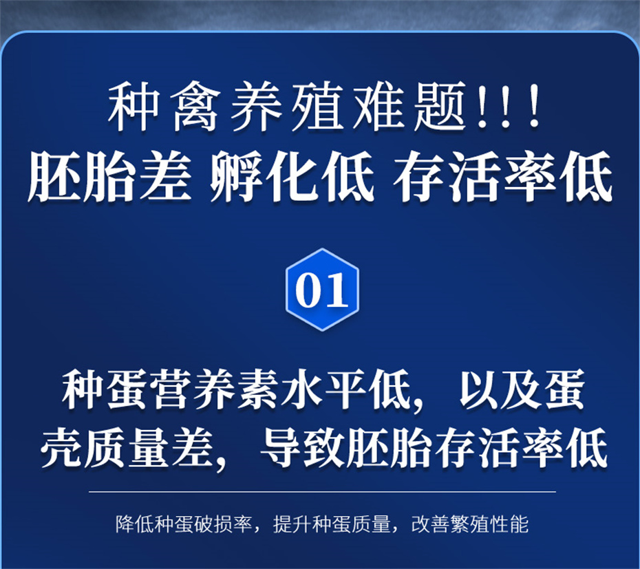 全网担保网动保禽饲料添加剂孵健宝产品介绍 全网担保网动保禽饲料添加剂孵健宝产品介绍