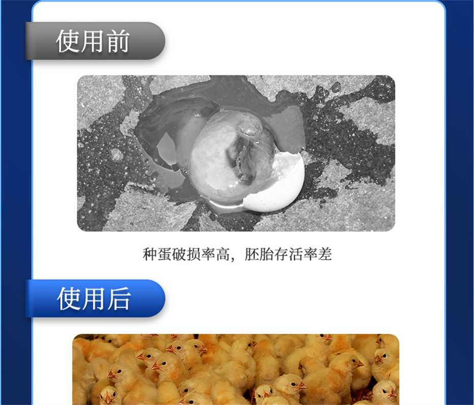 全网担保网动保禽饲料添加剂孵健宝产品介绍 全网担保网动保禽饲料添加剂孵健宝产品介绍