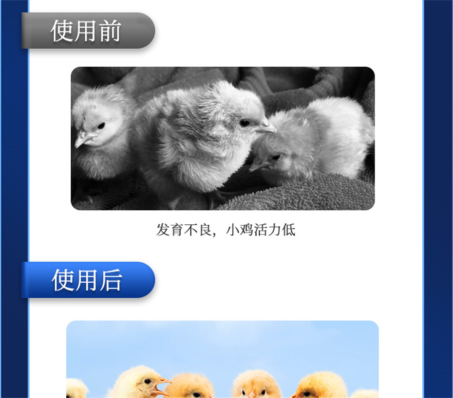 全网担保网动保禽饲料添加剂孵健宝产品介绍 全网担保网动保禽饲料添加剂孵健宝产品介绍
