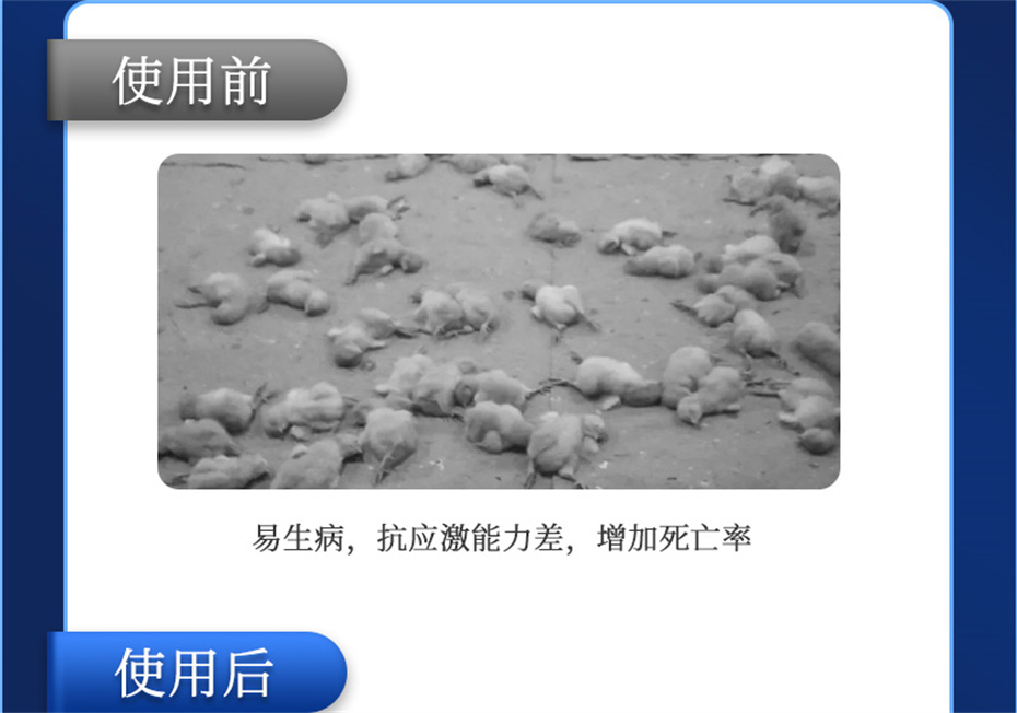 全网担保网动保禽饲料添加剂孵健宝产品介绍 全网担保网动保禽饲料添加剂孵健宝产品介绍