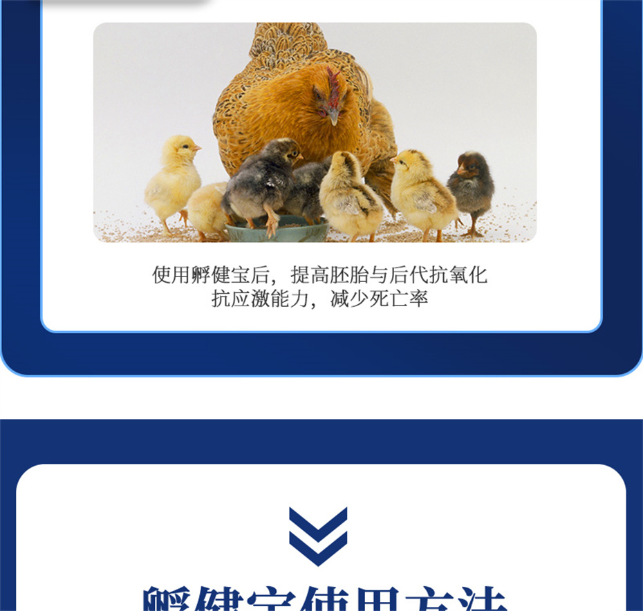 全网担保网动保禽饲料添加剂孵健宝产品介绍 全网担保网动保禽饲料添加剂孵健宝产品介绍