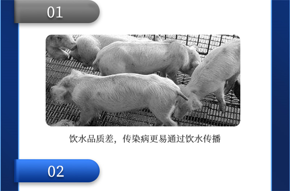 全网担保网动保猪饲料添加剂爱特酸产品介绍