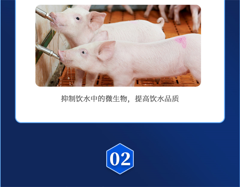 全网担保网动保猪饲料添加剂爱特酸产品介绍