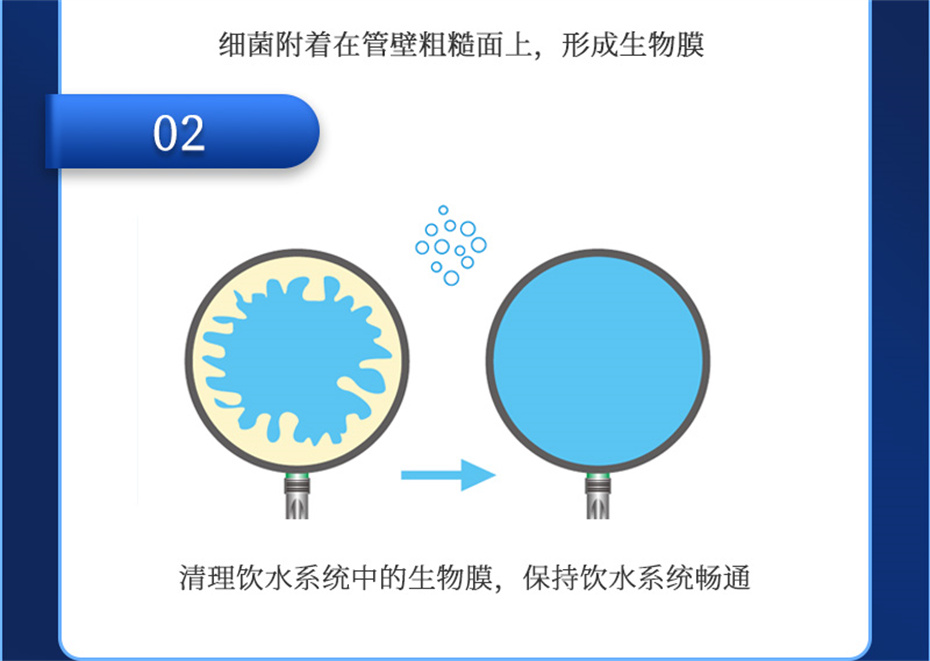 全网担保网动保猪饲料添加剂爱特酸产品介绍