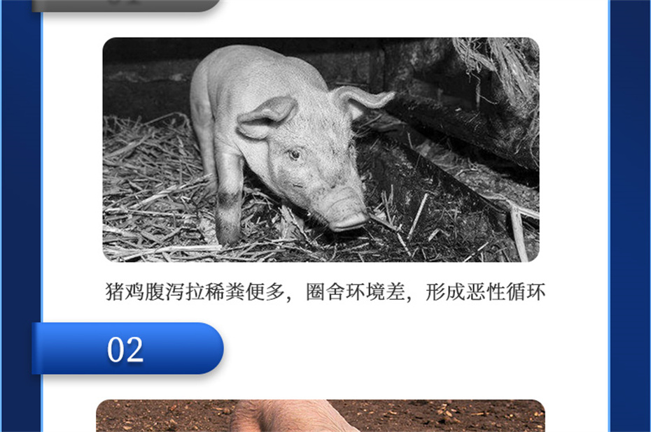 全网担保网动保猪饲料添加剂爱特酸产品介绍