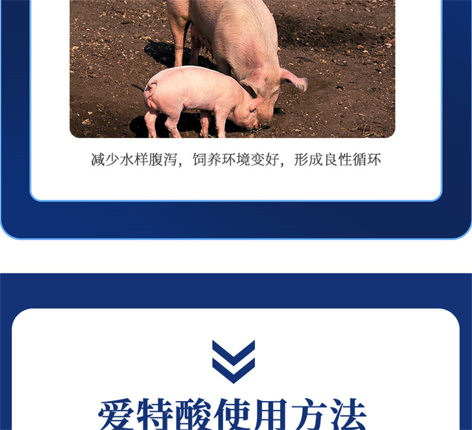 全网担保网动保猪饲料添加剂爱特酸产品介绍