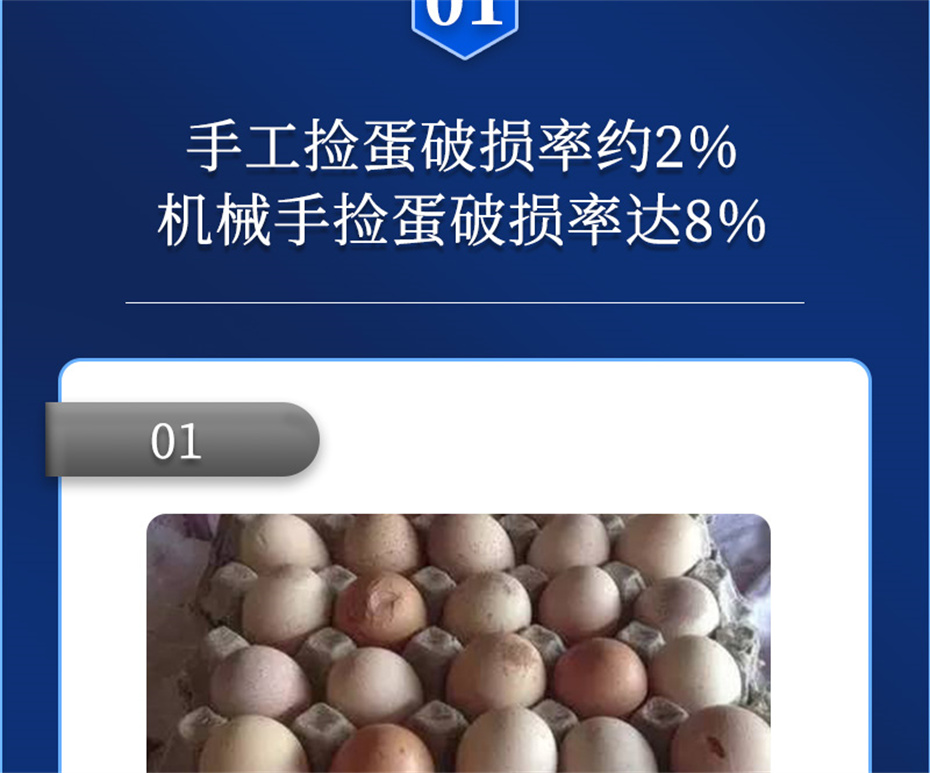 全网担保网动保禽饲料添加剂强壳宝产品介绍 全网担保网动保禽饲料添加剂强壳宝产品介绍