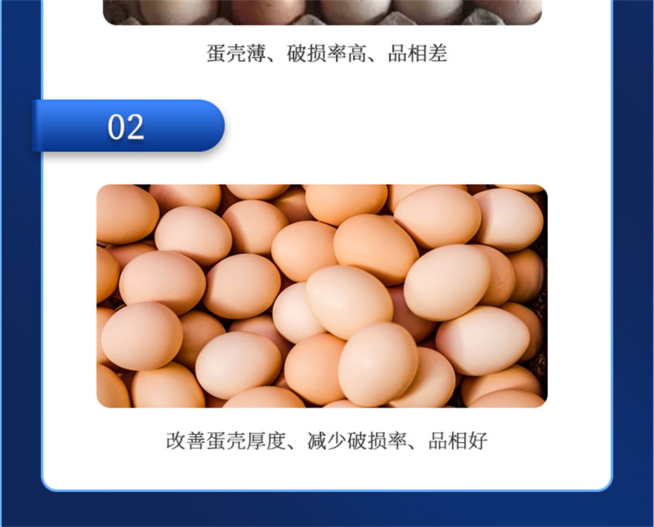 全网担保网动保禽饲料添加剂强壳宝产品介绍 全网担保网动保禽饲料添加剂强壳宝产品介绍