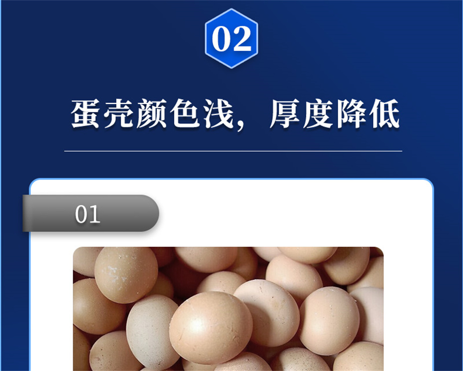 全网担保网动保禽饲料添加剂强壳宝产品介绍 全网担保网动保禽饲料添加剂强壳宝产品介绍