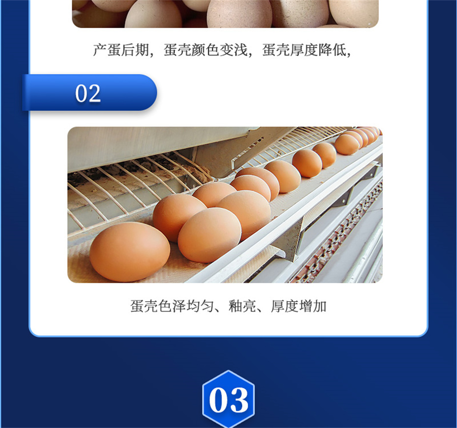 全网担保网动保禽饲料添加剂强壳宝产品介绍 全网担保网动保禽饲料添加剂强壳宝产品介绍