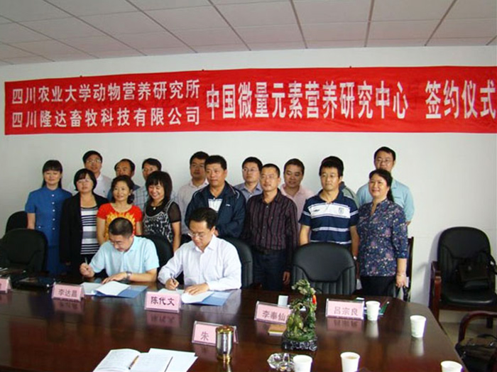 全网担保网