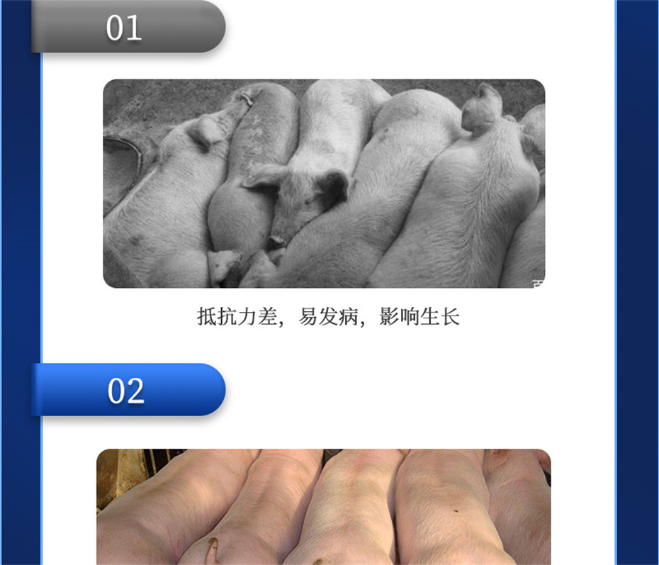 全网担保网动保饲料添加剂吉生元产品介绍