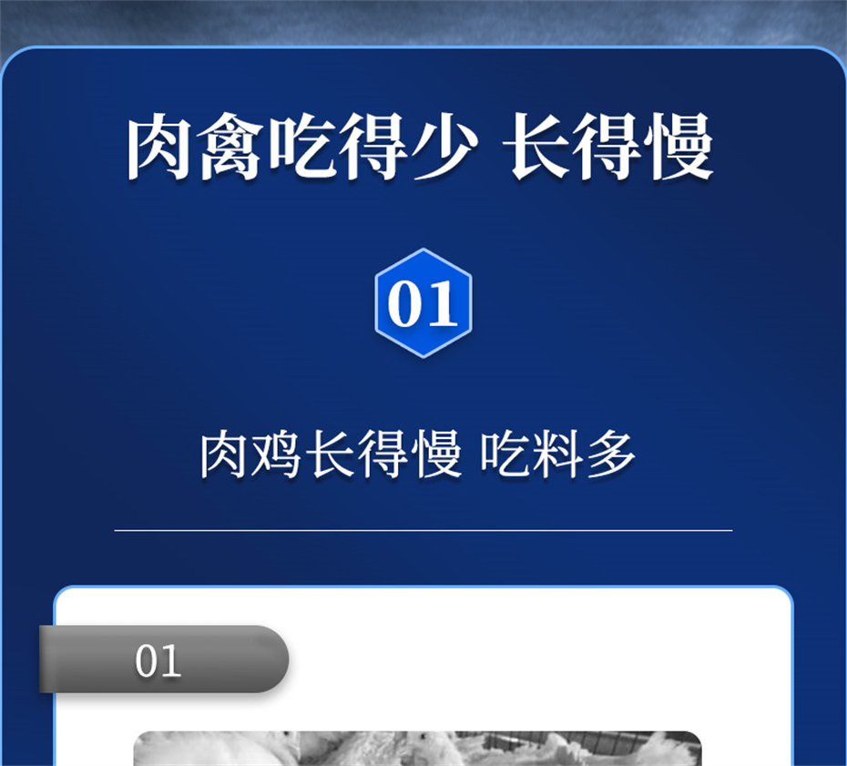 全网担保网动保禽饲料添加剂禽肽重产品介绍 全网担保网动保禽饲料添加剂禽肽重产品介绍