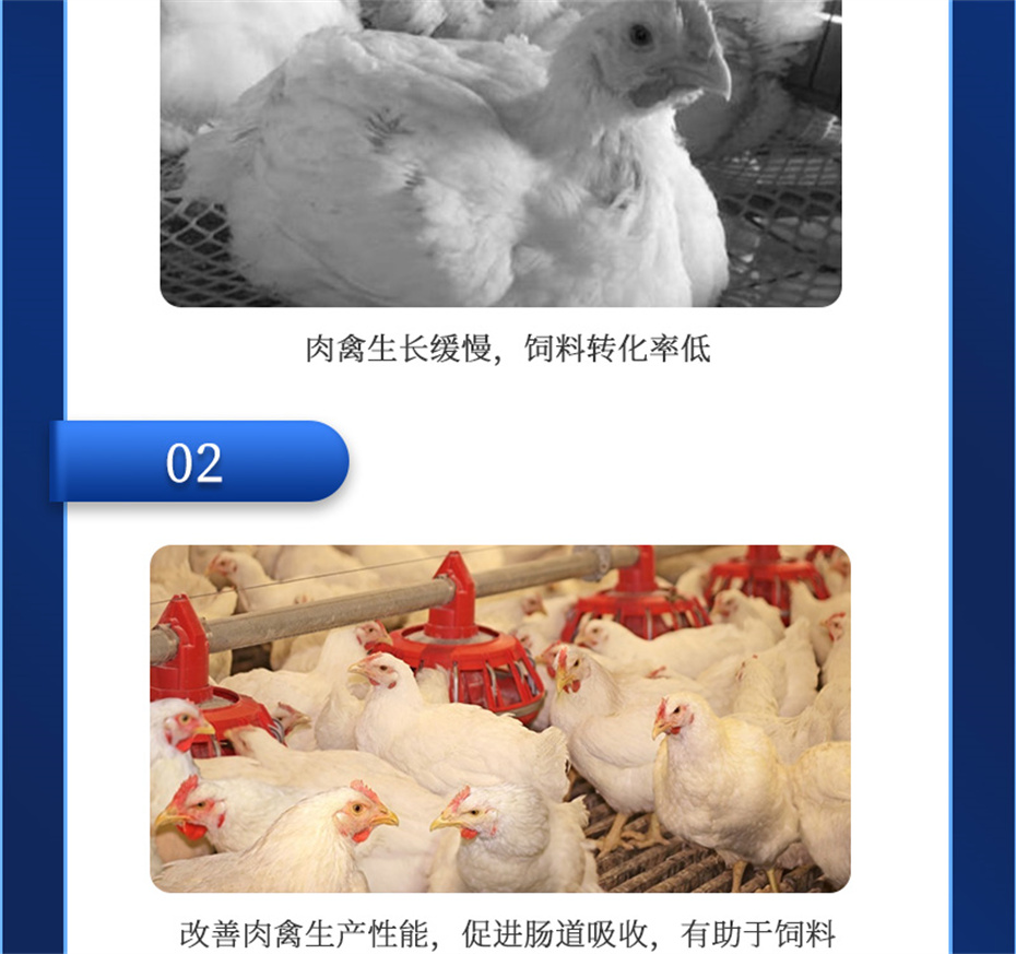 全网担保网动保禽饲料添加剂禽肽重产品介绍 全网担保网动保禽饲料添加剂禽肽重产品介绍