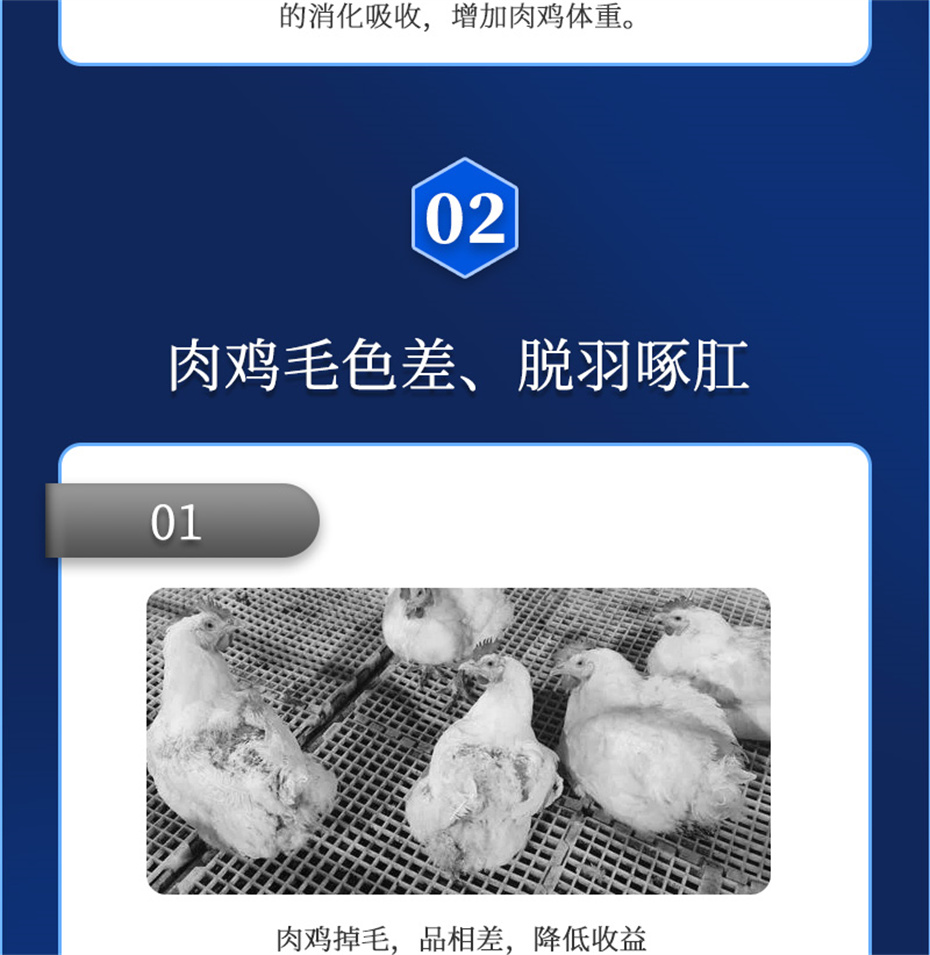 全网担保网动保禽饲料添加剂禽肽重产品介绍 全网担保网动保禽饲料添加剂禽肽重产品介绍
